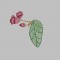 BFC0322  Lace Bowl & Doily  Caladium