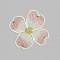 BFC0327   Lace Bowl & Doily  Three Dimensional Dogwood