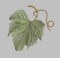 BFC0343 Lace Bowl & Doily  Vintage Grapes