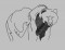 BFC0350 Bears