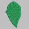 BFC0374 Poinsettias