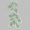 BFC0382 Lace Bowl & Doily Poinsettias