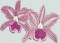BFC0416 Stained Glass Fantasy