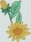 BFC0422 Lace Bowl & Doily Flower Vases