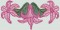 BFC0441 Floral Favorites