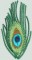BFC0461 Stained Glass- The Peacock