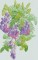 BFC0464 Window - Lady with Lilacs