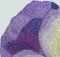 BFC0477 Window - Floral Fantasy II