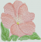BFC0483 Seed Packets - Flowers