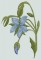 BFC0498 Seed Packet Herb Pack