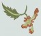 BFC0516 Ancient Far East Textile Designs