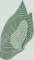 BFC0534 Floral Expressions I