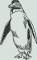 BFC0537 Penguins