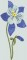 BFC0571 Wildflowers