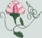BFC0574 Xiang Yun in the Peony Garden