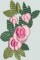 BFC0575 Chinese Panel Xiang Yun in the Peony Garden