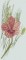 BFC0660 Botanical Prints