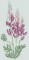 BFC0684 Hummingbird Fantasy Garden