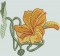 BFC0693 Nasturtiums