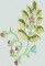 BFC0711 QIH Floral Brocade Handbag