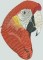BFC0718 Large Scarlet Macaw