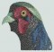 BFC0792 Two Pheasants
