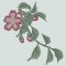 BFC0852 Oriental Fauna - Set I