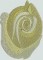 BFC0906 Yellow Roses
