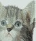 BFC0968 Window-Three Kittens