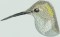 BFC0970 Window-Hummingbird with Babies