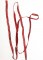 Red/White Ribbon