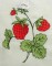 BFC0159 Summer Garden Revisited