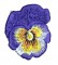 BFC0106 Pansy Set