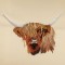 BFC30604 Gry - The Scottish Cow