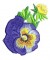 BFC0106 Pansy Set