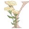 BFC31858 Spring Flowers Alphabet Y