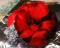 BFC0188 Lace Sculpture - Hibiscus