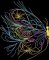 BFC32276 Enchanting Butterfly