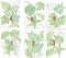 BFC1588 Backgrounds - Summer Leaves