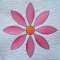 CCQ0315 - Spring Daisies