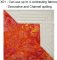 CCQ0601 - QI Double Square Star