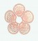 BFC0191 Fun Flowers