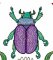 BFC2082 Insects with Flowers