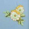 BFC0166C Victorian Butterfly Frame