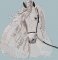 BFC1917 Large Andalusian in the Wind