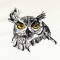 Sketchy Owl