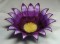 BFC0197 Lace Bowl-Daisy