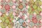 CCQ0289 - Cherry Blossom Square