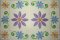 CCQ0315 - Spring Daisies