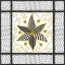 CCQ0329 - Blackwork